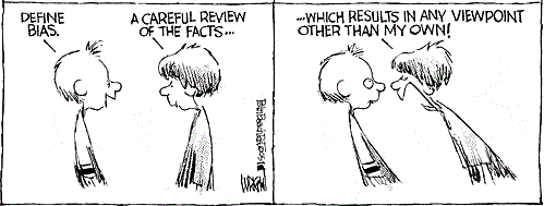 bias language biases biased cartoon says investing american university word report guide source investment person ini being returns cost facts